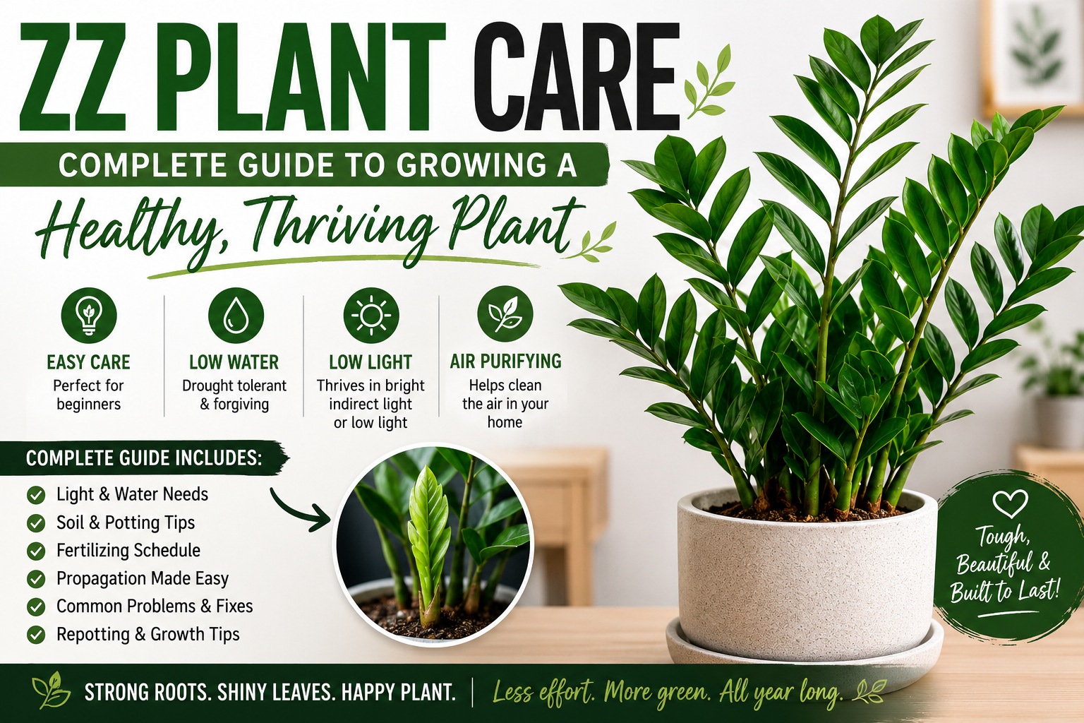 ZZ Plant Care: Complete Guide to Growing a Healthy, Thriving Plant